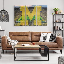 Load image into Gallery viewer, The Michigan Wolverines: Go Blue