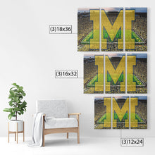 Load image into Gallery viewer, The Michigan Wolverines: Go Blue