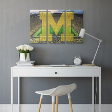 Load image into Gallery viewer, The Michigan Wolverines: Go Blue