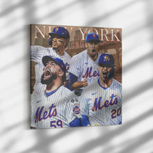 Load image into Gallery viewer, The New York Mets: OMG
