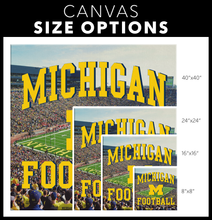 Load image into Gallery viewer, The Michigan Wolverines: Michigan Football