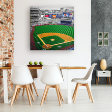 Load image into Gallery viewer, The New York Yankees: Yankee Stadium