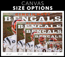 Load image into Gallery viewer, The Cincinnati Bengals: Super Bowl LVI