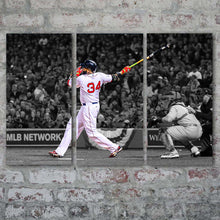Load image into Gallery viewer, The Boston Red Sox: Homerun!
