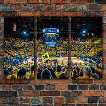 Load image into Gallery viewer, Crisler Arena
