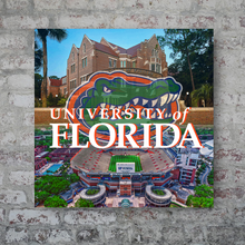 Load image into Gallery viewer, University of Florida