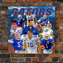 Load image into Gallery viewer, The University of Florida: 2008 Gators