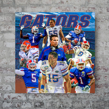 Load image into Gallery viewer, The University of Florida: 2008 Gators