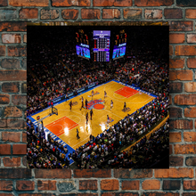 Load image into Gallery viewer, The New York Knicks: Madison Square Garden