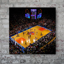 Load image into Gallery viewer, The New York Knicks: Madison Square Garden