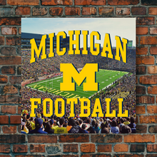 Load image into Gallery viewer, The Michigan Wolverines: Michigan Football