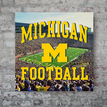 Load image into Gallery viewer, The Michigan Wolverines: Michigan Football