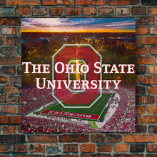 Load image into Gallery viewer, Ohio State University