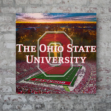 Load image into Gallery viewer, Ohio State University