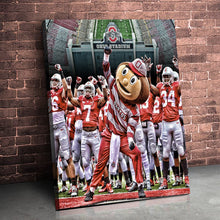 Load image into Gallery viewer, Ohio State Football: The Buckeyes