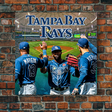 Load image into Gallery viewer, The Tampa Bay Rays: The Rays
