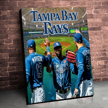 Load image into Gallery viewer, The Tampa Bay Rays: The Rays
