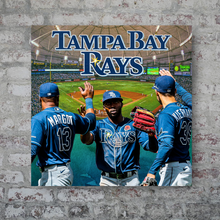 Load image into Gallery viewer, The Tampa Bay Rays: The Rays