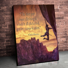 Load image into Gallery viewer, Rock Climbing: The Mountaineer