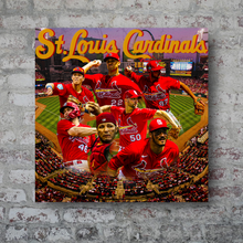Load image into Gallery viewer, St. Louis Cardinals: The Redbirds
