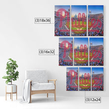 Load image into Gallery viewer, The Philadelphia Phillies
