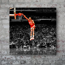 Load image into Gallery viewer, The Atlanta Hawks: The Human Highlight Film