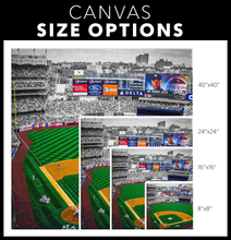 Load image into Gallery viewer, The New York Yankees: Yankee Stadium