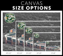 Load image into Gallery viewer, The Green Bay Packers: Lambeau Field