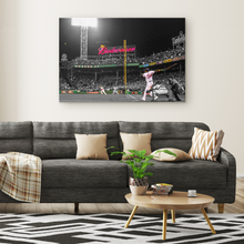 Load image into Gallery viewer, The Boston Red Sox: Big Papi
