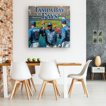 Load image into Gallery viewer, The Tampa Bay Rays: The Rays