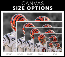 Load image into Gallery viewer, The Cincinnati Bengals: WHO DEY
