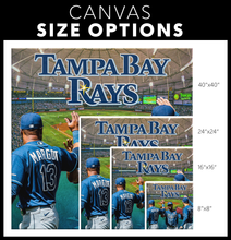 Load image into Gallery viewer, The Tampa Bay Rays: The Rays