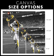 Load image into Gallery viewer, The Pittsburgh Steelers: XLIII Champions