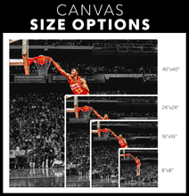 Load image into Gallery viewer, The Atlanta Hawks: The Human Highlight Film