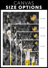 Load image into Gallery viewer, The Pittsburgh Steelers: TOUCHDOWN