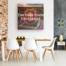 Load image into Gallery viewer, Ohio State University