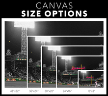 Load image into Gallery viewer, The Boston Red Sox: Big Papi