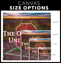 Load image into Gallery viewer, Ohio State University