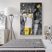 Load image into Gallery viewer, The Pittsburgh Steelers: TOUCHDOWN