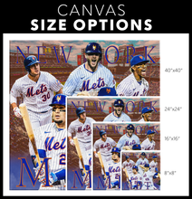 Load image into Gallery viewer, The New York Mets: The Mets