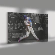 Load image into Gallery viewer, The New York Mets: Polar Pete
