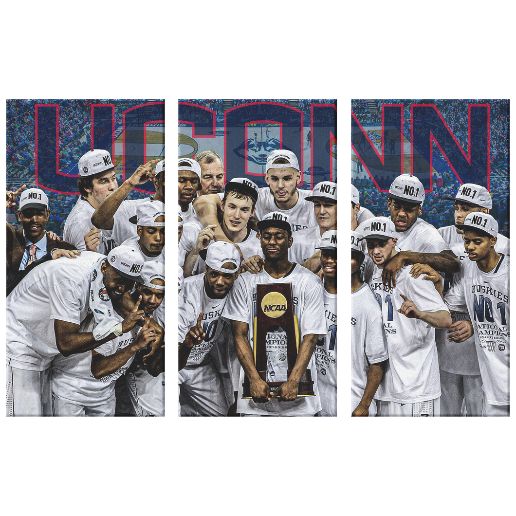 UConn Huskies: 2010 NCAA Champs