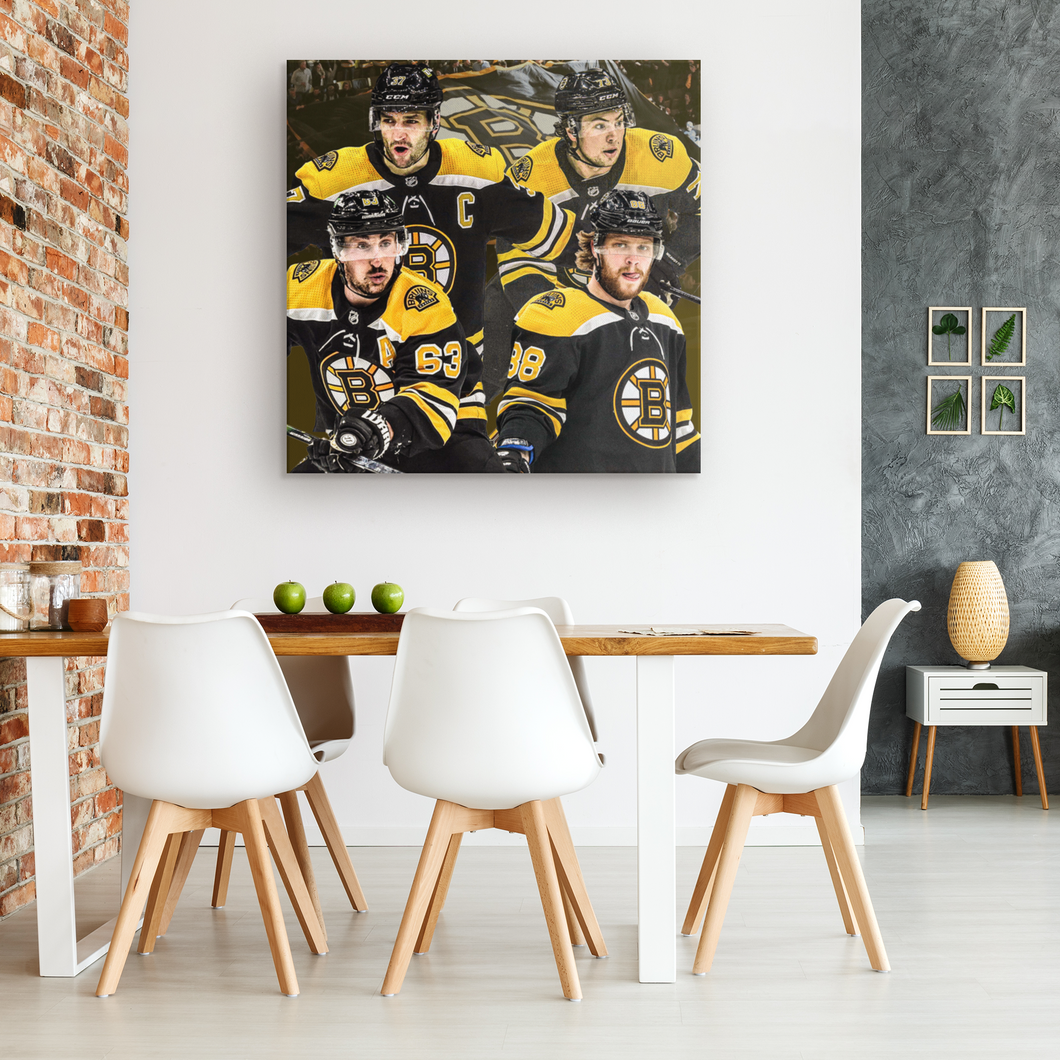 The Boston Bruins: Go Bruins