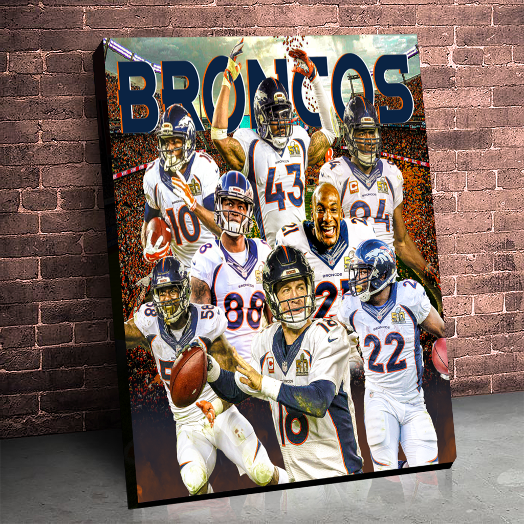 The Denver Broncos: Super Bowl 50 Champs