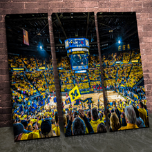 Load image into Gallery viewer, Crisler Arena
