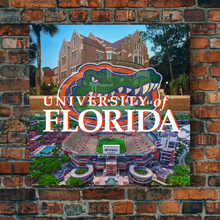 Load image into Gallery viewer, University of Florida
