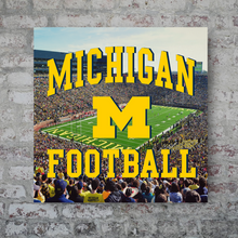 Load image into Gallery viewer, The Michigan Wolverines: Michigan Football
