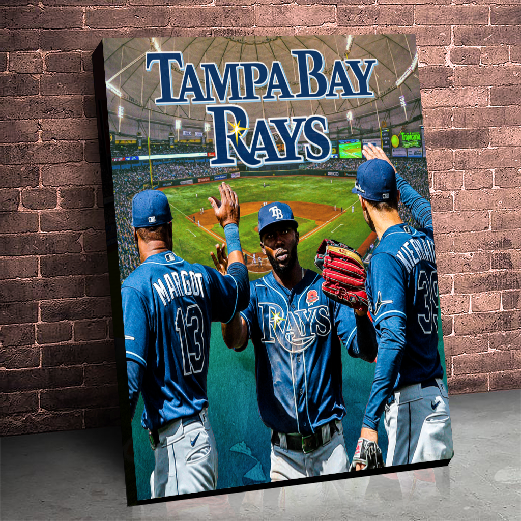 The Tampa Bay Rays: The Rays