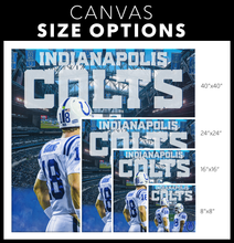 Load image into Gallery viewer, The Indianapolis Colts: Dynamic Duo
