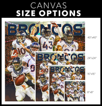 Load image into Gallery viewer, The Denver Broncos: Super Bowl 50 Champs
